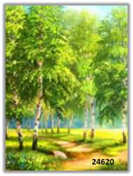 Картина за изграждане с камъчета 30х20 см.,22х28см./24620