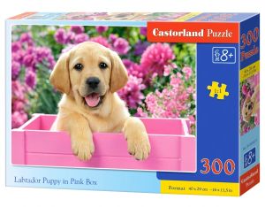 Пъзел 300 ел. В-030071 Labrador Puppy in Pink Box